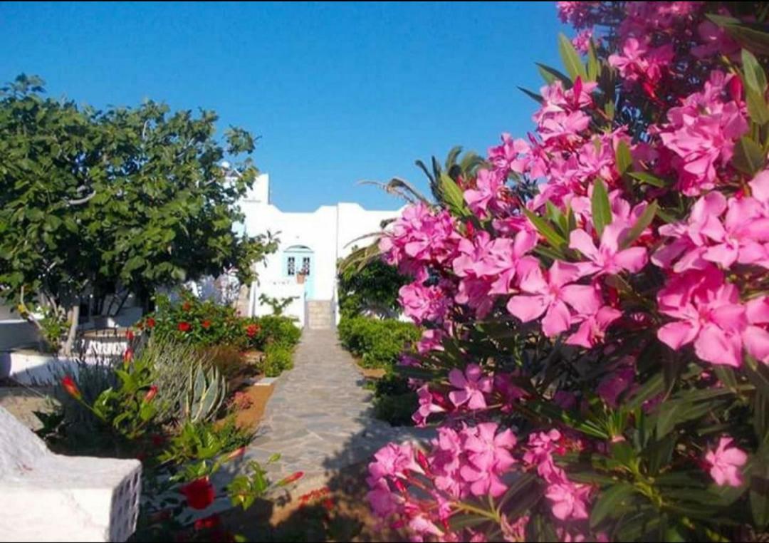 Nyfes Traditional Boutique Vagelio Σκύρος Εξωτερικό φωτογραφία