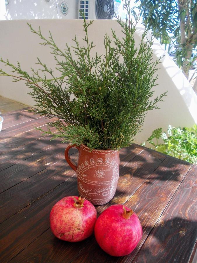 Nyfes Traditional Boutique Vagelio Σκύρος Εξωτερικό φωτογραφία
