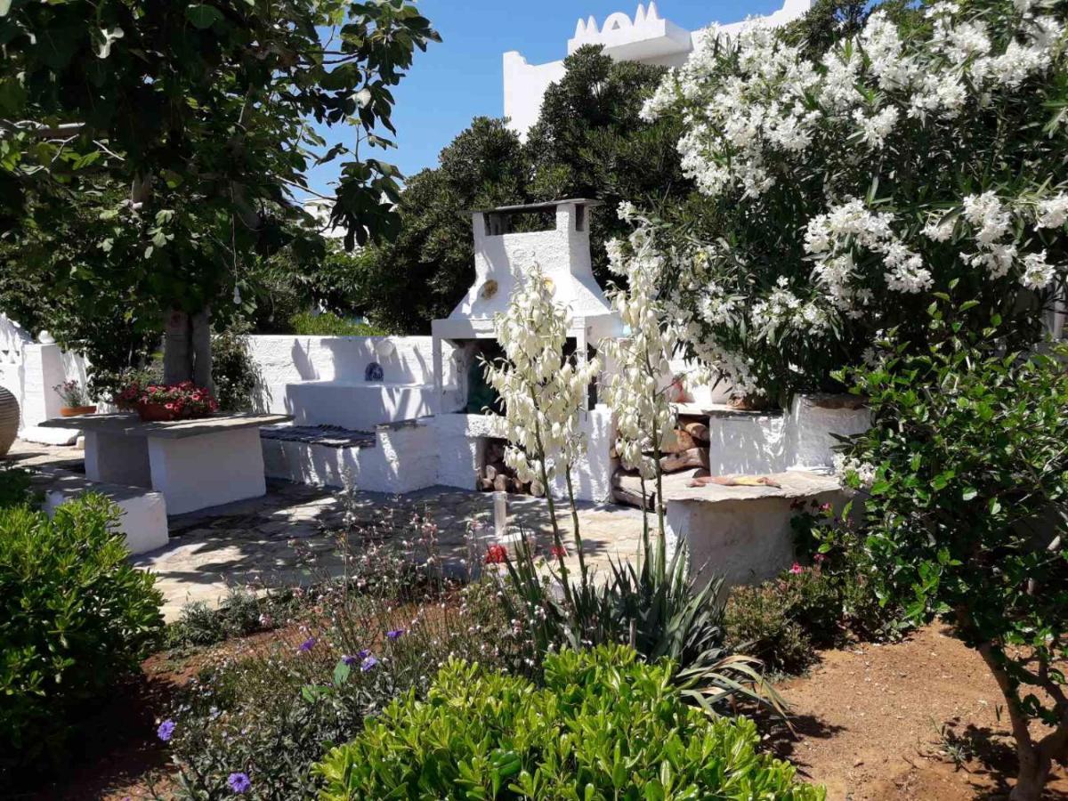 Nyfes Traditional Boutique Vagelio Σκύρος Εξωτερικό φωτογραφία